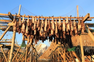 20 Iceland Food (Irresistible Dishes You’d Want To Relish In 2022) DRIED FISH (HARÐFISKUR)