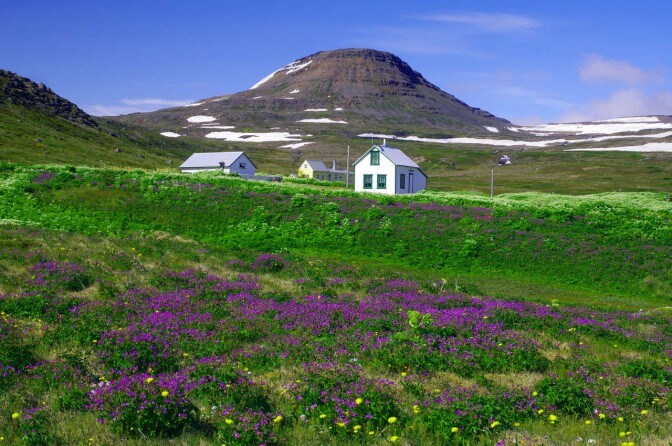 Places to visit in Iceland Hornstrandir Natural Reserve 