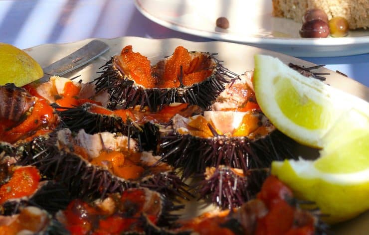 Irresistible Dishes You’d Want To Relish In Italy- Sea Urchin