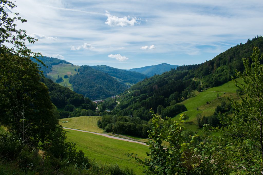 Best Places to Visit in Germany The Black Forest 