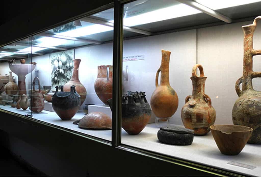 Cyprus Museum -Things To Do In Cyprus 