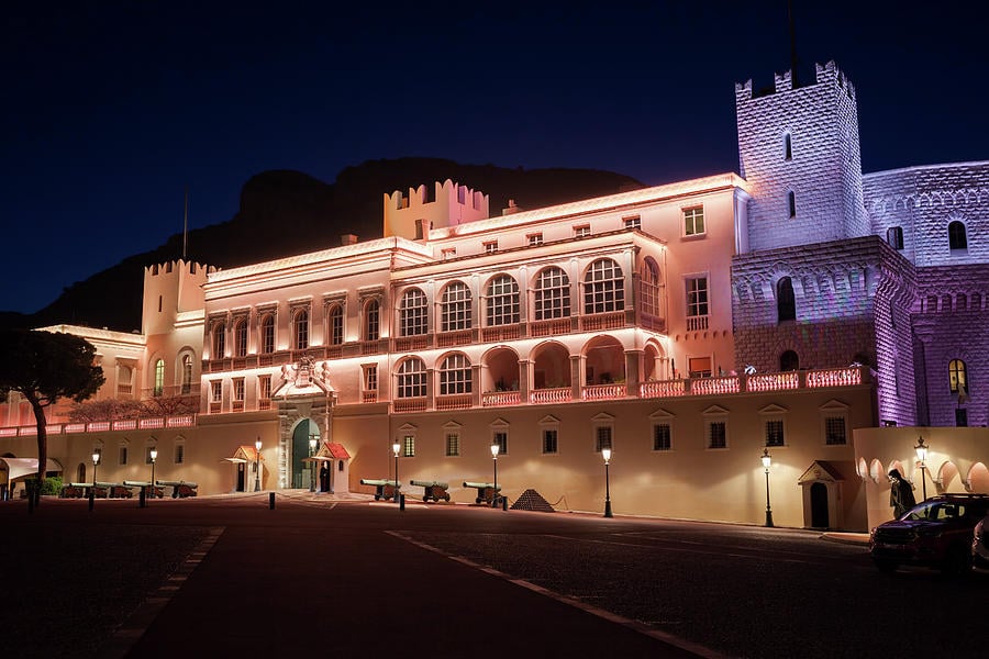 Palais du Prince-  Things To Do In Monaco