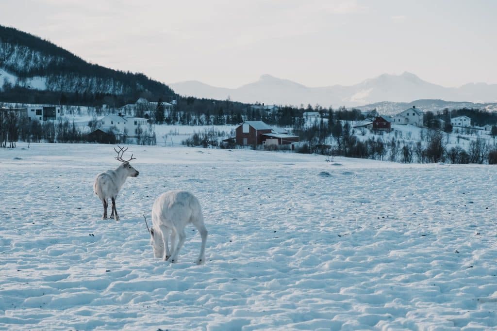 Tromso -Places to Visit in Norway