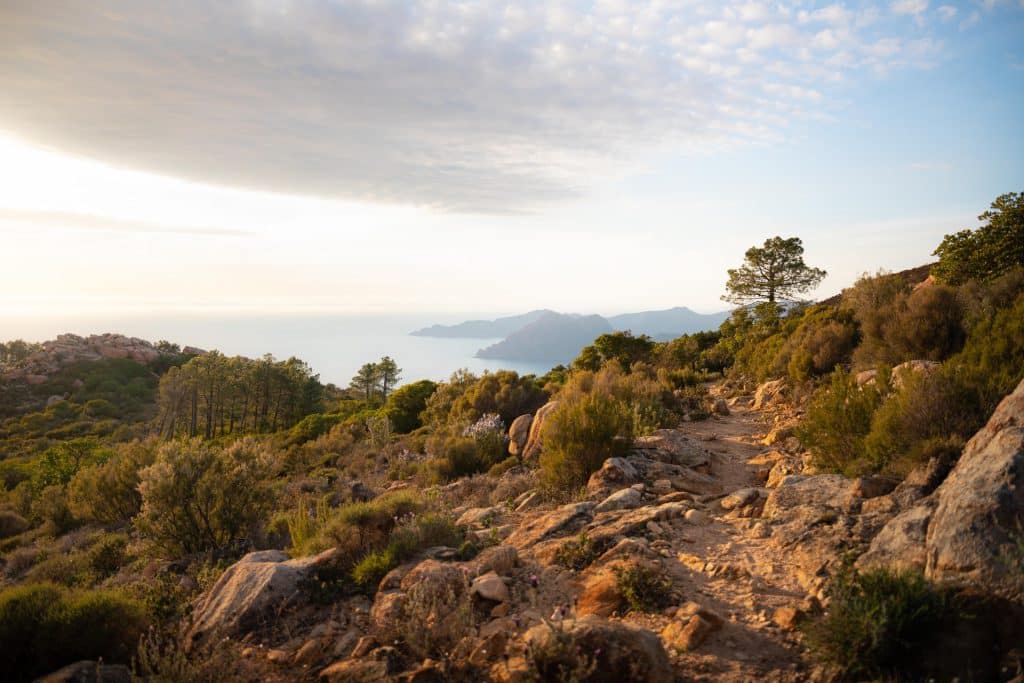 Calanques de Piana - Best Places to Visit in Corsica