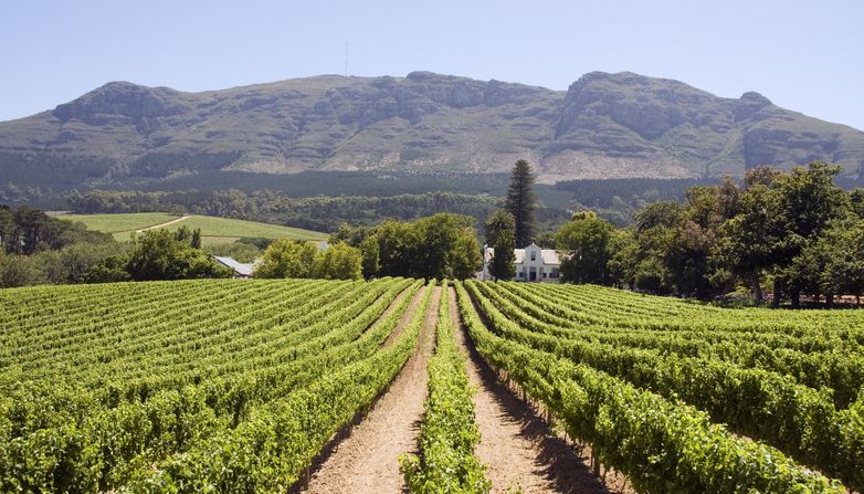 Cape Town, South Africa - Undiscovered Travel Locations for Wine Lovers