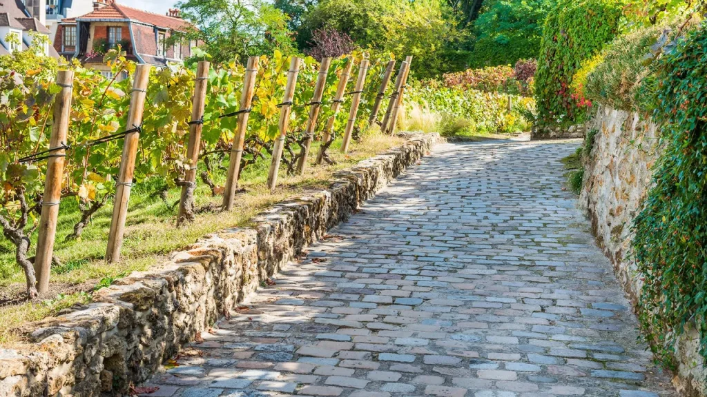 Montmartre & A Vineyard In Paris - Paris Bucket List