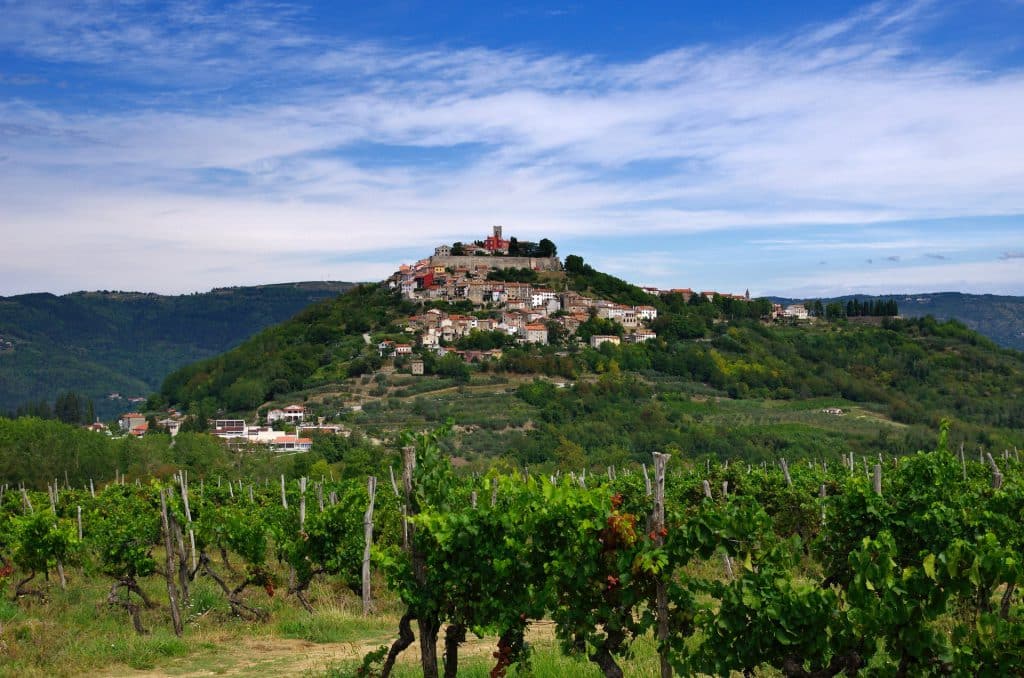 Motovun - Places to Visit in Croatia