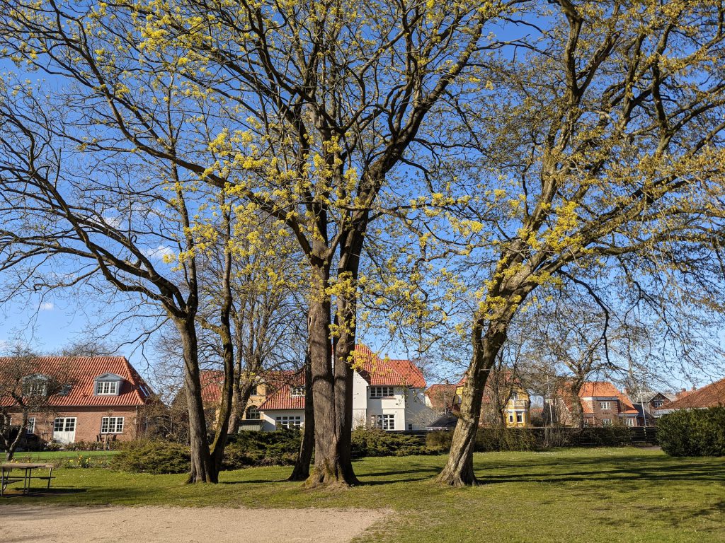 Ribe - Top 15 Places to Visit in Denmark