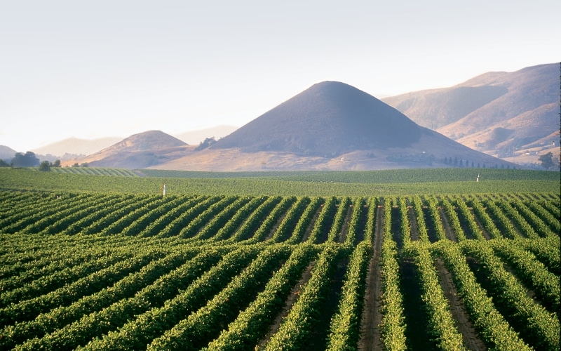 San Luis Obispo, California - Undiscovered Travel Locations for Wine Lovers
