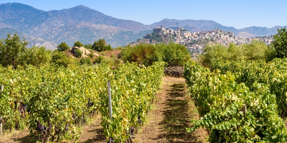 Sicily, Italy - Undiscovered Travel Locations for Wine Lovers