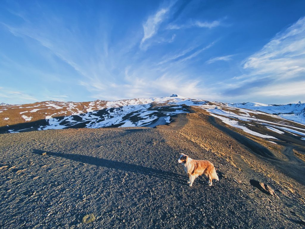Sierra Nevada - Best Places to Visit in Spain