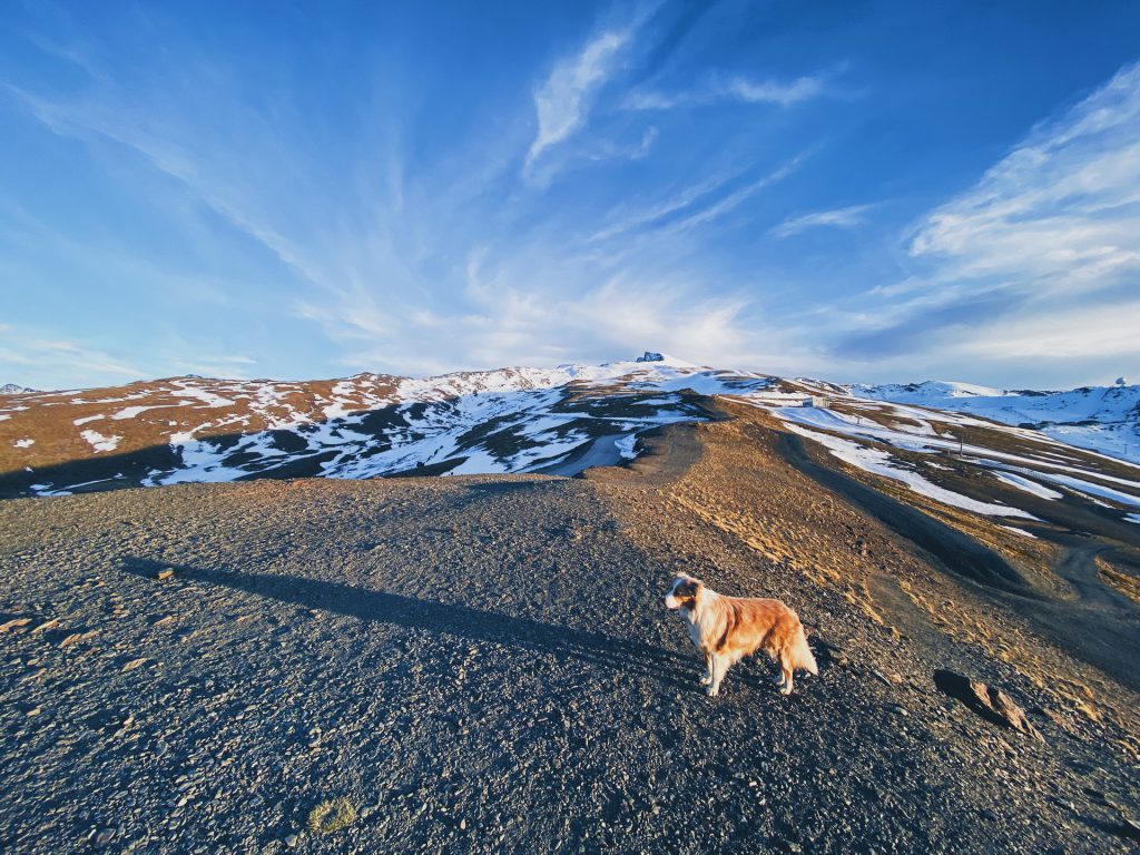 Sierra Nevada -  Best Places to Visit in Spain