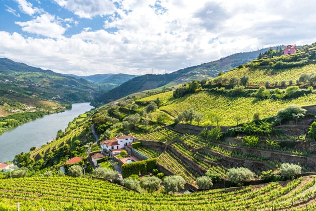 Dão - Best Wine Regions in Portugal Wine Country
