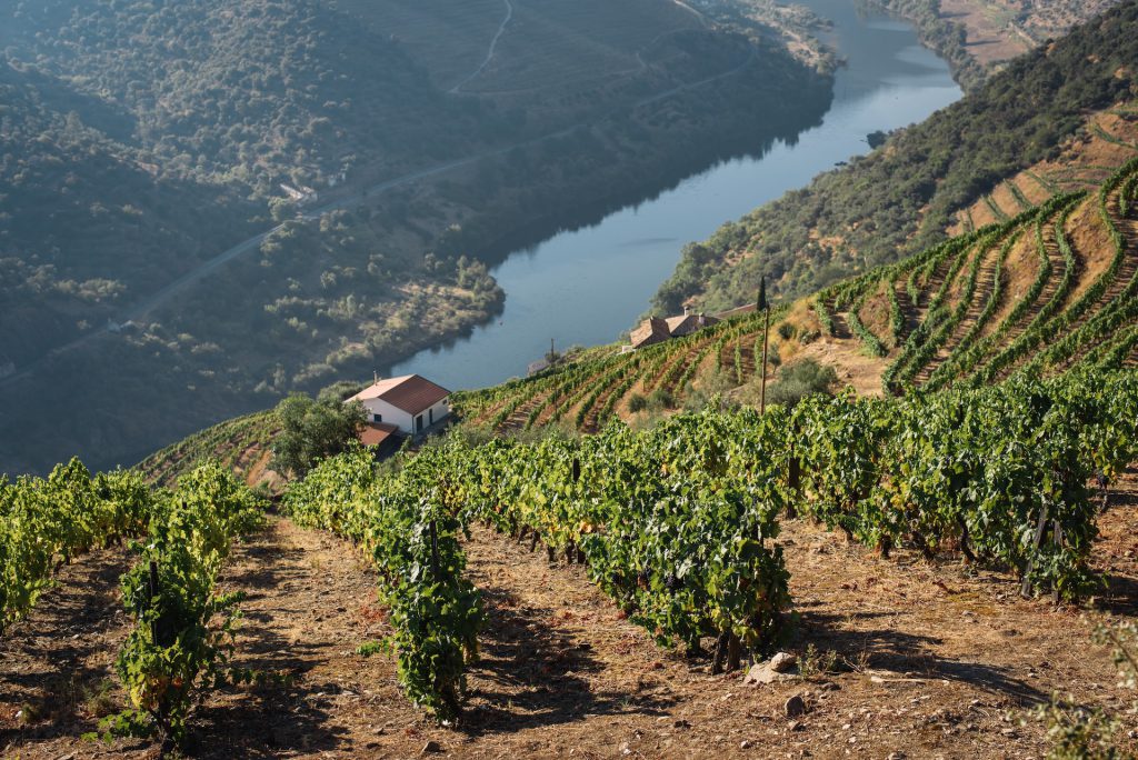 Douro Valley - Best Wine Regions in Portugal Wine Country
