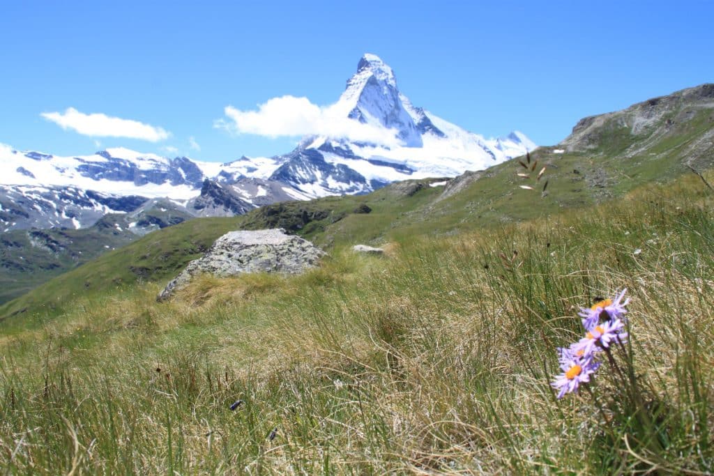 Höhbalmen Alpine Meadows - Switzerland Hiking Locations