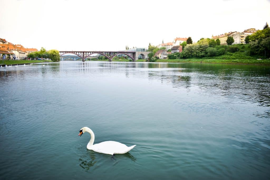 Places to Visit in Slovenia - Maribor