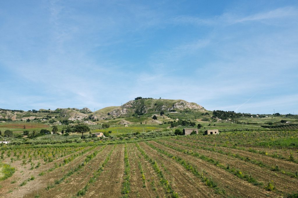 Sicily Vineyard - Italy's Best Wine Regions for Wine Lovers to Visit