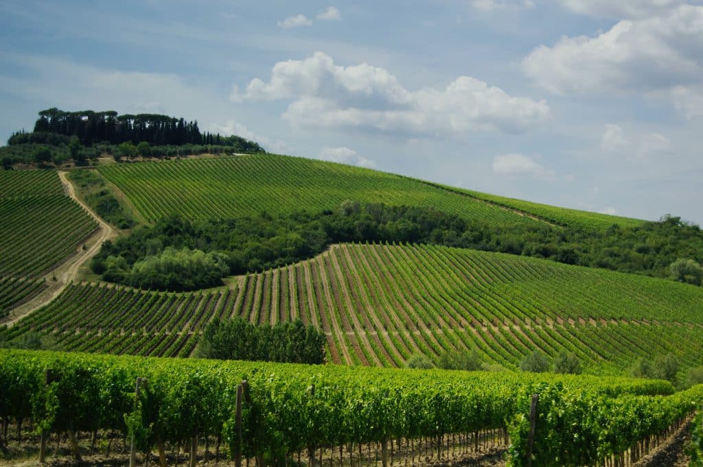 Tuscany - Italy's Best Wine Regions for Wine Lovers to Visit