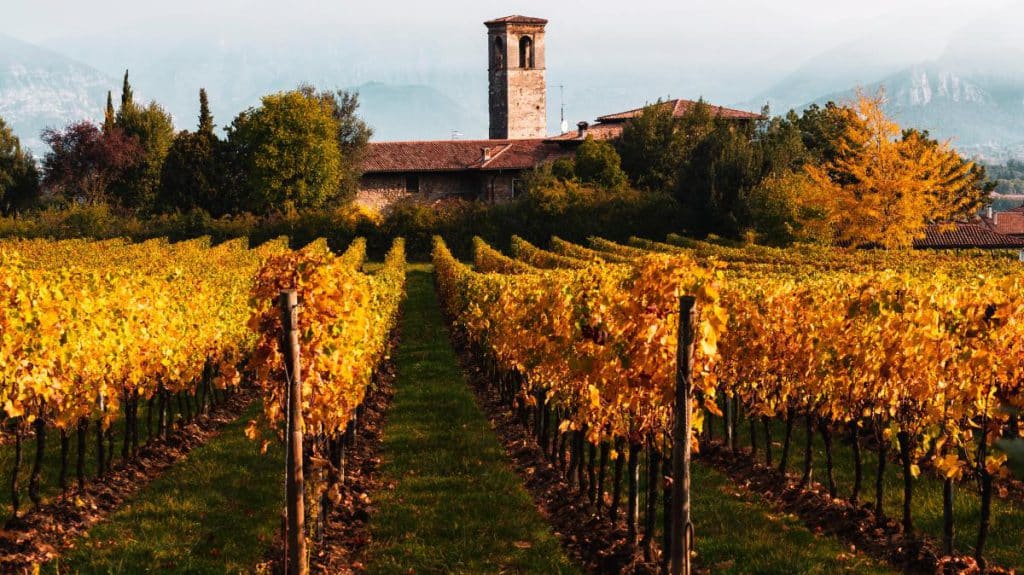 Lombardy Vineyard - Italy's Best Wine Regions for Wine Lovers to Visit