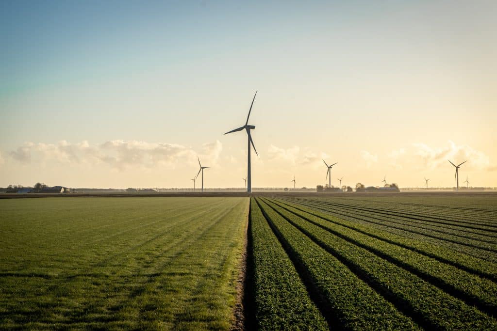 Beemster Polder - Places to Visit in The Netherlands