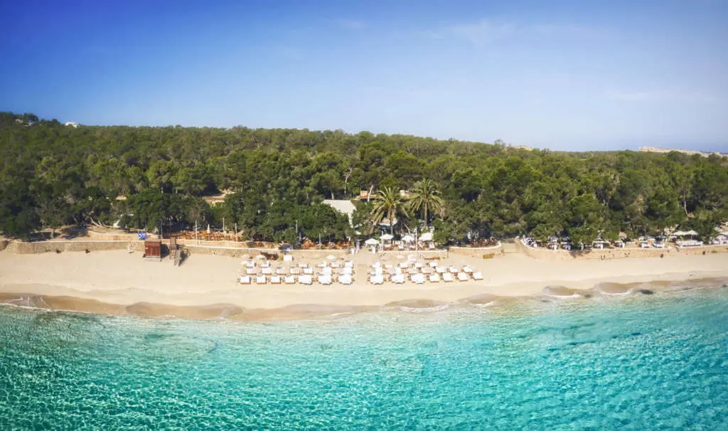 Cala Bassa Beach Club - Things to do in Ibiza