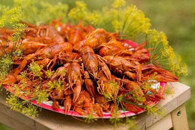 Crayfish with Swedish Schnapps - Food in Sweden (Irresistible Dishes You’d Want To Relish In 2022)