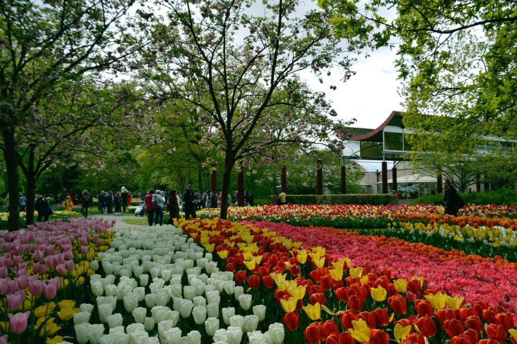 Keukenhof Gardens - Places to Visit in The Netherlands