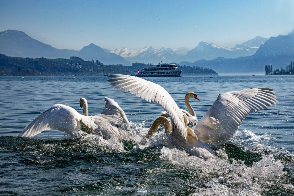 Lucerne and Lake Lucerne - Places in Switzerland
