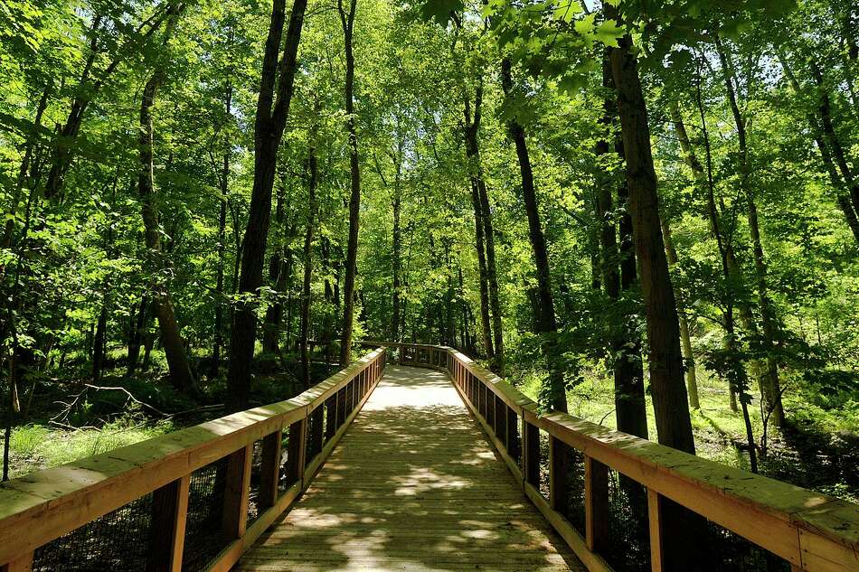 Congaree National Park, Hopkins - Best Places to visit in South Carolina