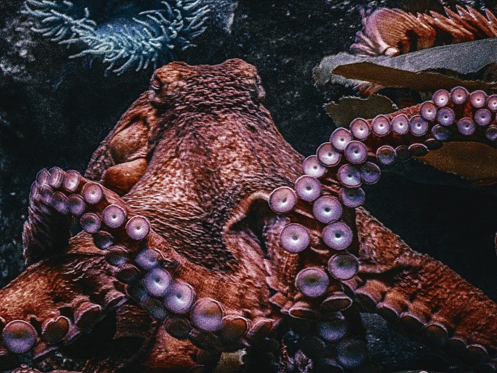 Dallas World Aquarium - Best places to visit in Texas