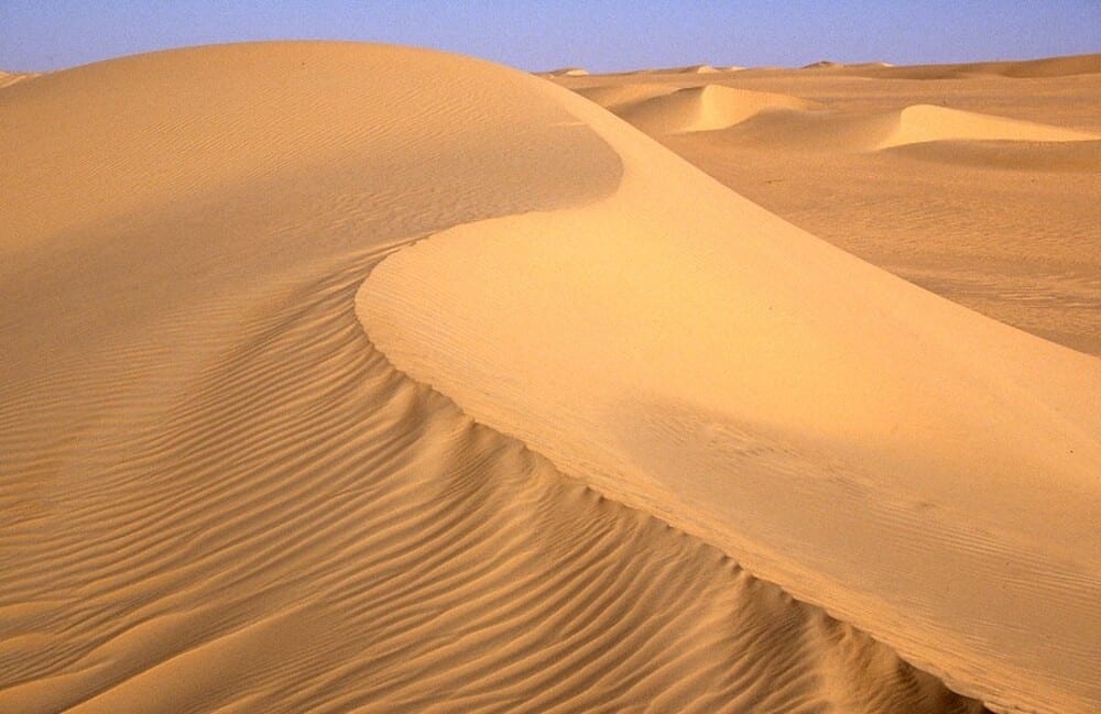 Monahans Sandhills State Park Texas - Best places to visit in Texas