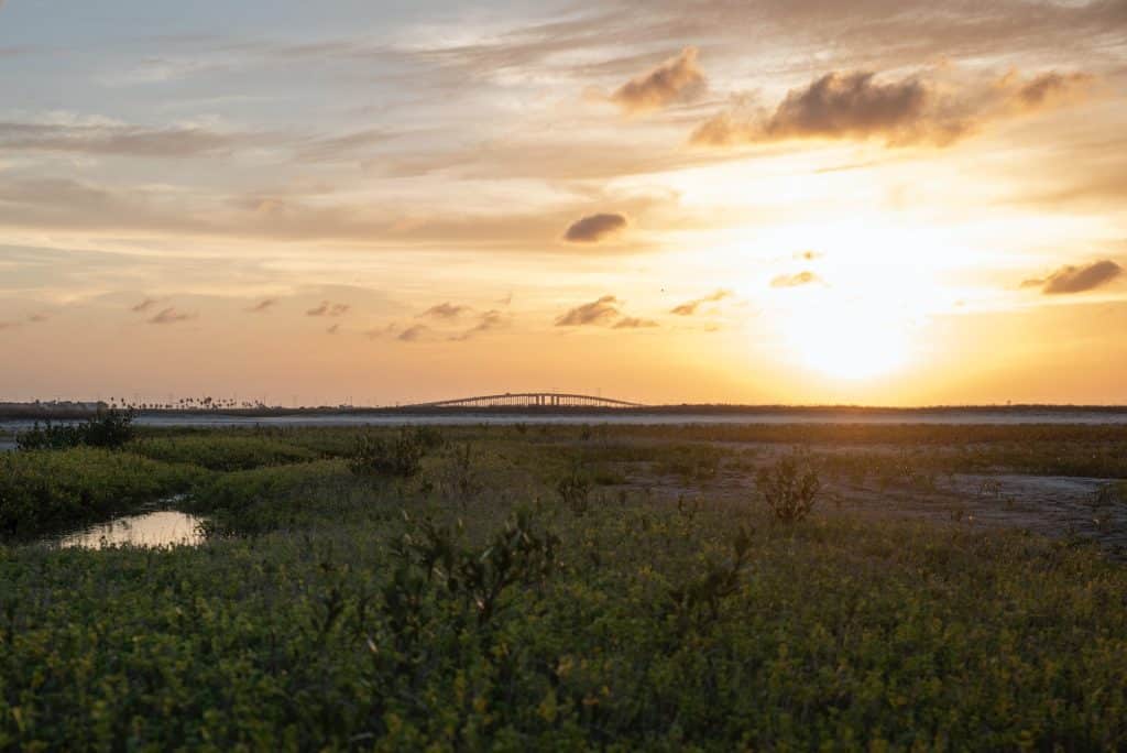 Mustang Island - Best places to visit in Texas