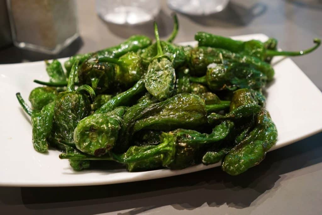 PIMIENTOS DE PADRON - Top 20 Irresistible Spanish Food
