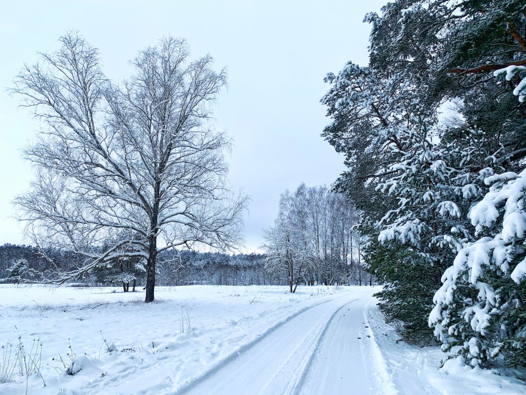 Anyksciai - places to visit in Lithuania