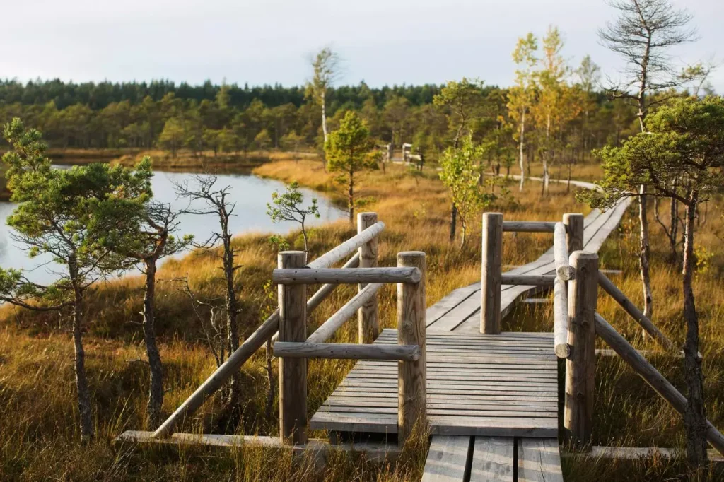 Kemeri National Park - Places to visit in Latvia