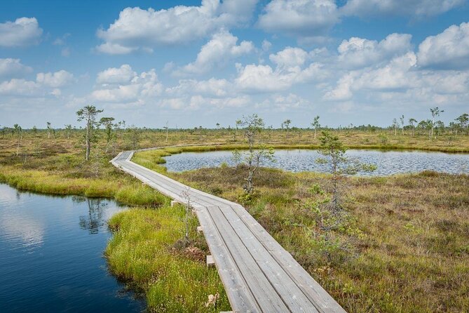 Soomaa National Park - Places to visit in Estonia