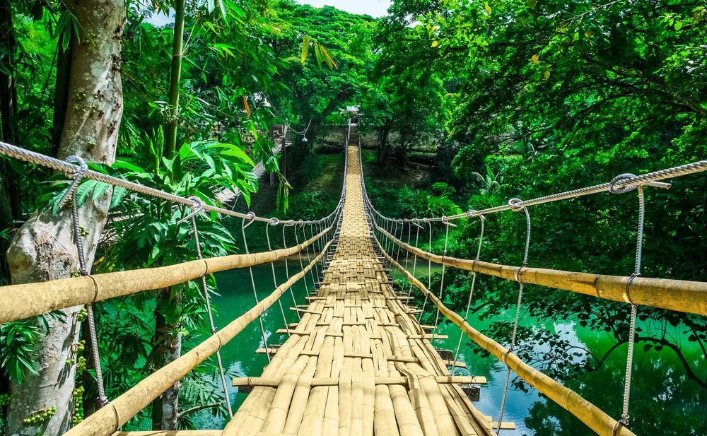 Bamboo Hanging Bridge - Things to do in Bohol (Philippines)