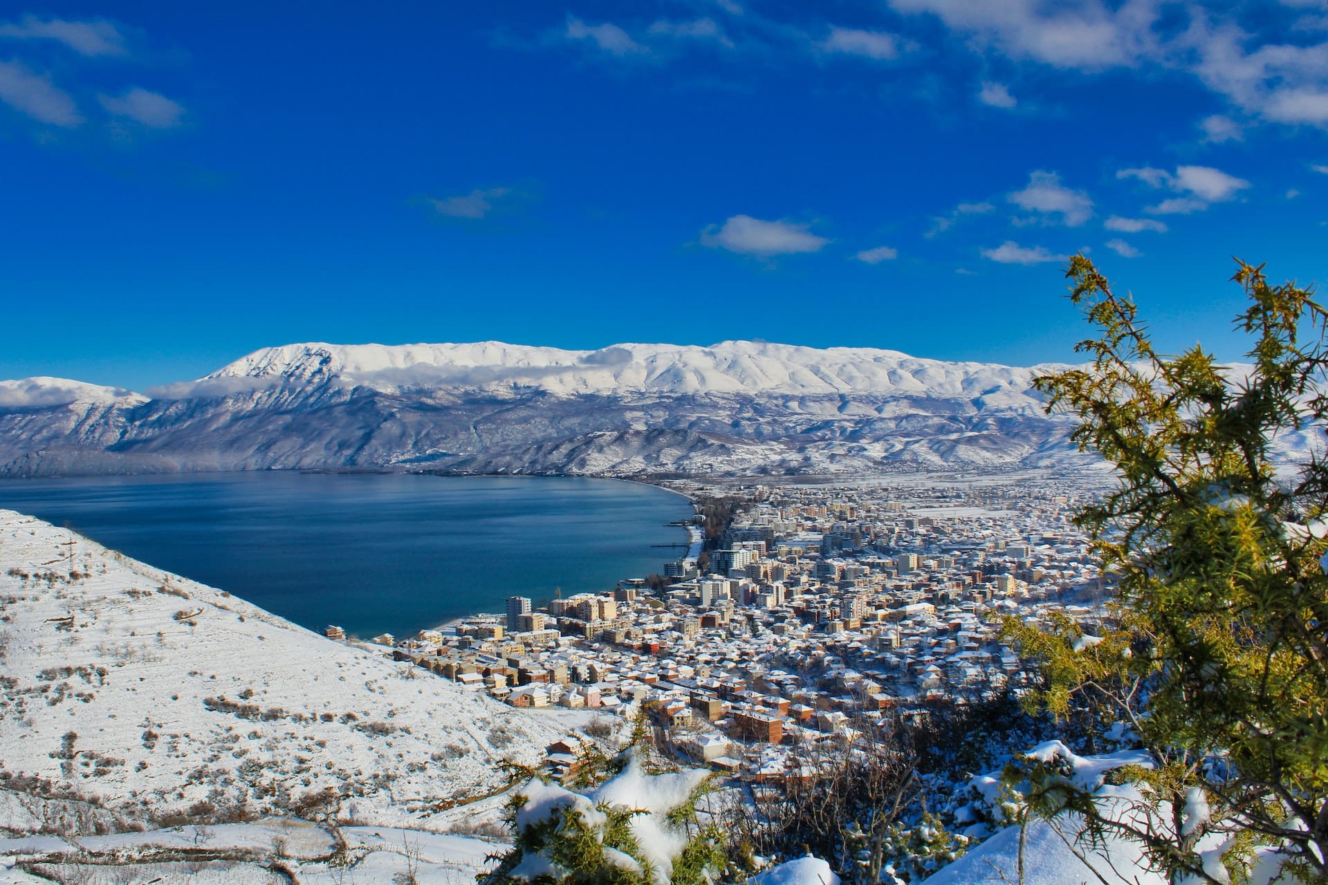 FAQ – Albania