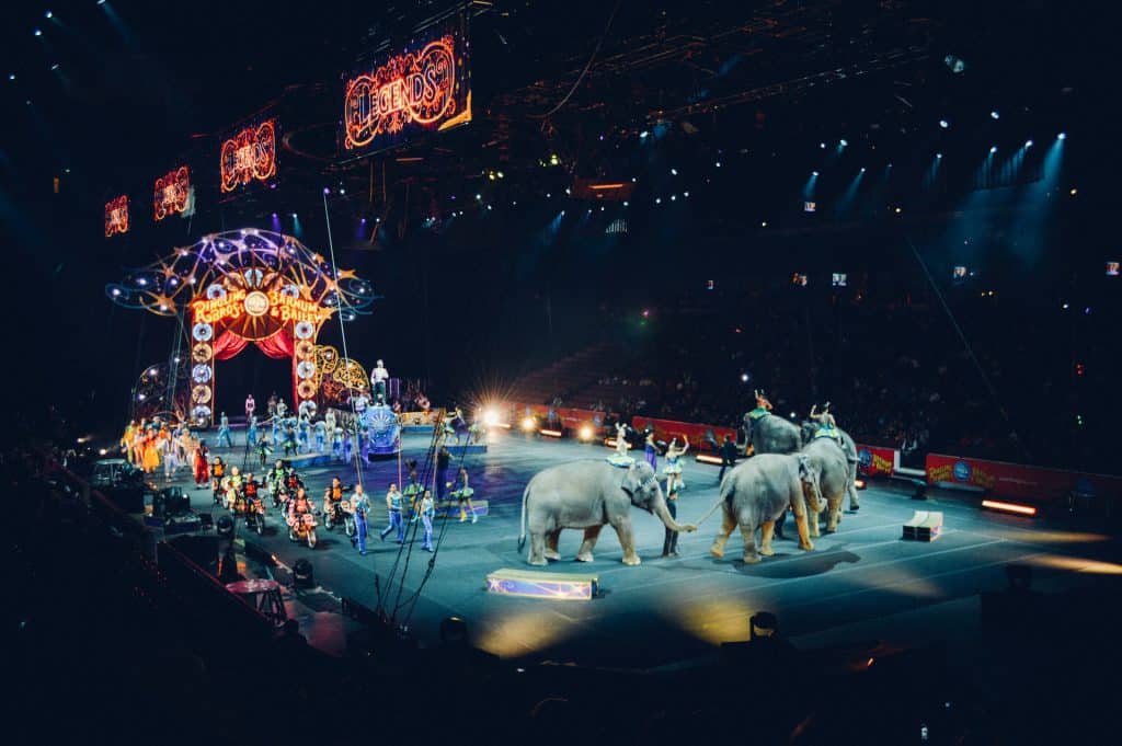 Circus - England - Interesting Free Things to Do in Edinburgh, UK