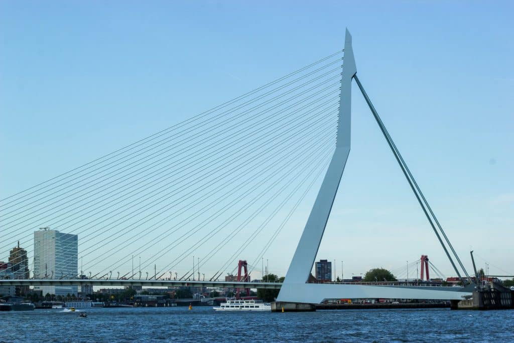 Erasmus Bridge - things to do in Rotterdam