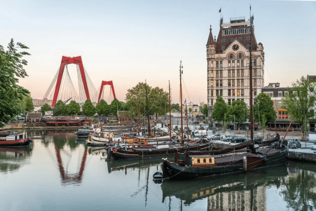Old Harbour - Things to do in Rotterdam