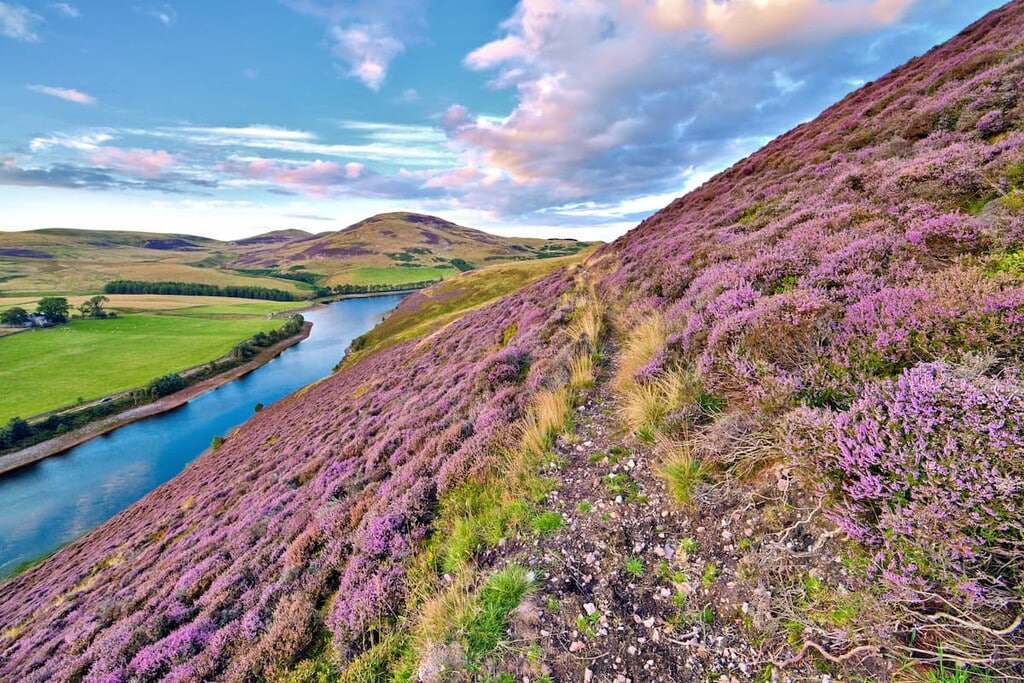 Pentland Hills Regional Park - Interesting Free Things to Do in Edinburgh, UK