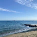 Things to do in Limassol