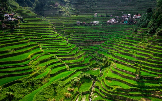 Banaue Rice Terraces - Best Things to Do in the Philippines