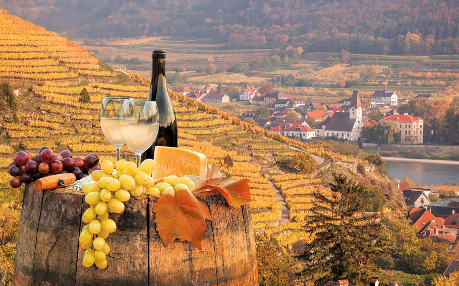 Austrian wine - Things to KNOW before you VISIT Austria