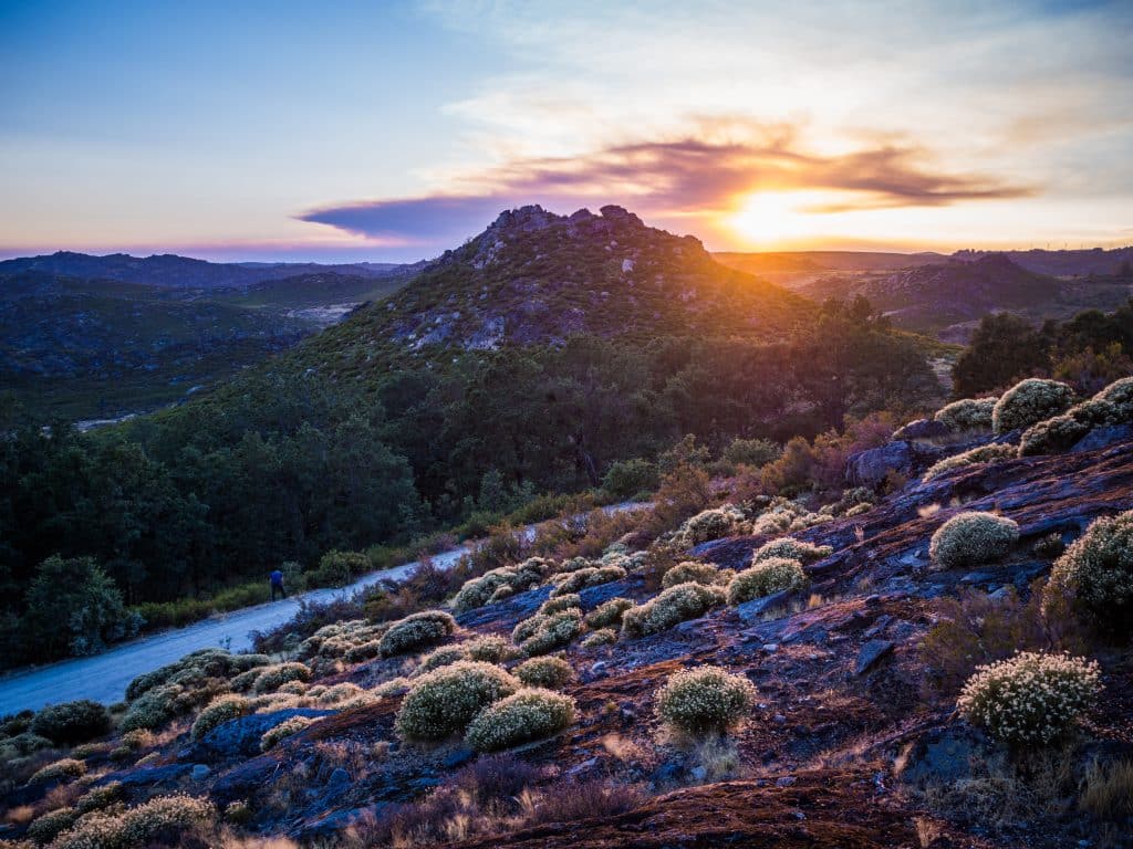 Montesinho Natural Park - Beautiful Parks To Visit in Portugal