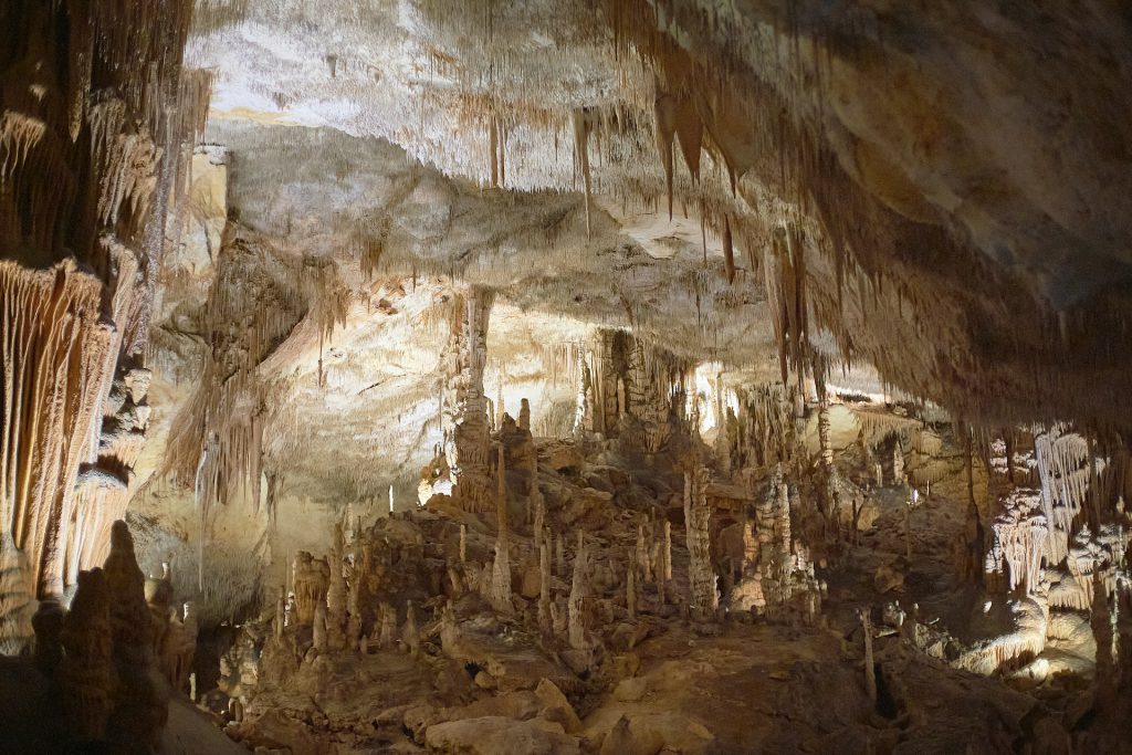 Drach Caves in Mallorca - Places to Visit in Mallorca