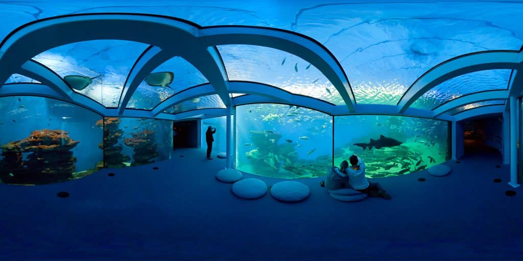 Palma Aquarium - Places to Visit in Mallorca