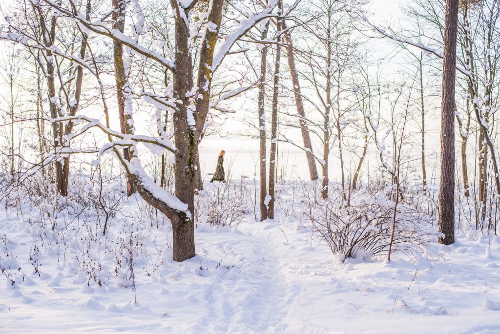 Estonia Winter - Things to Know Before Traveling to Estonia