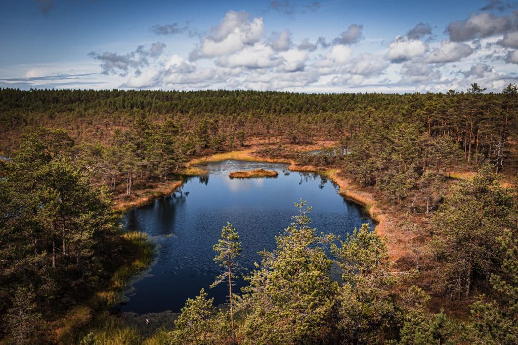 Lahemaa National Park - Estonia Nature and Outdoor Activities